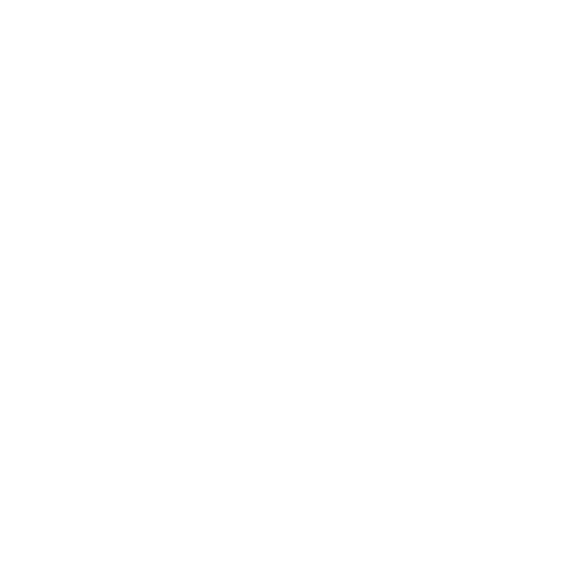 Primary Raster logo